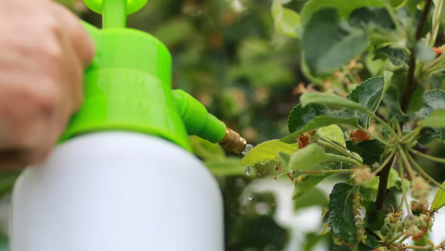 Plant Health Care (PHC)