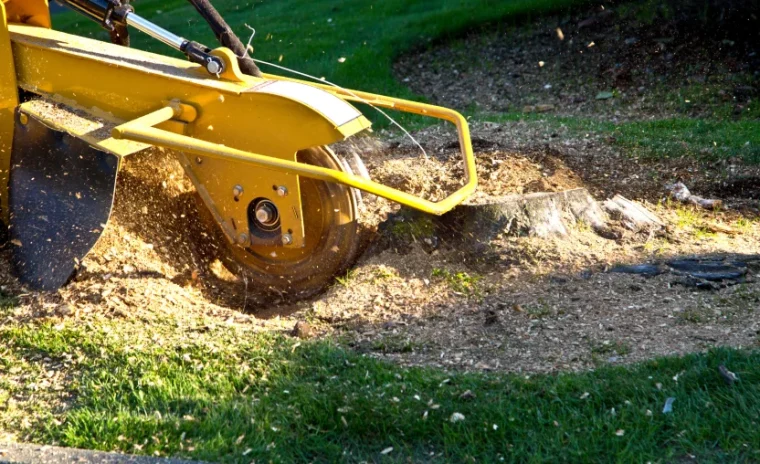 Stump Grinding