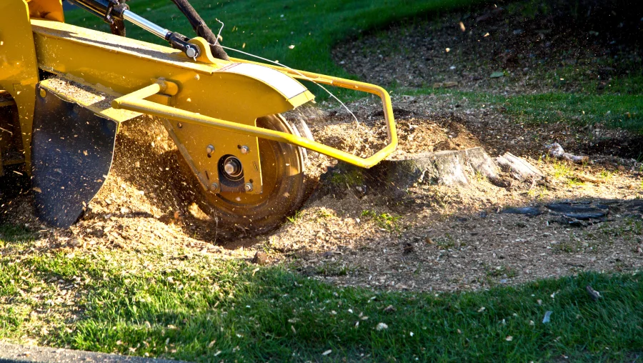 Stump Grinding Stump Grinding