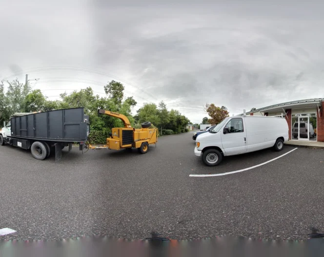 new leaf tree service llc 2025 09 29T14:15:23.516144Z 66433.72811424217 1