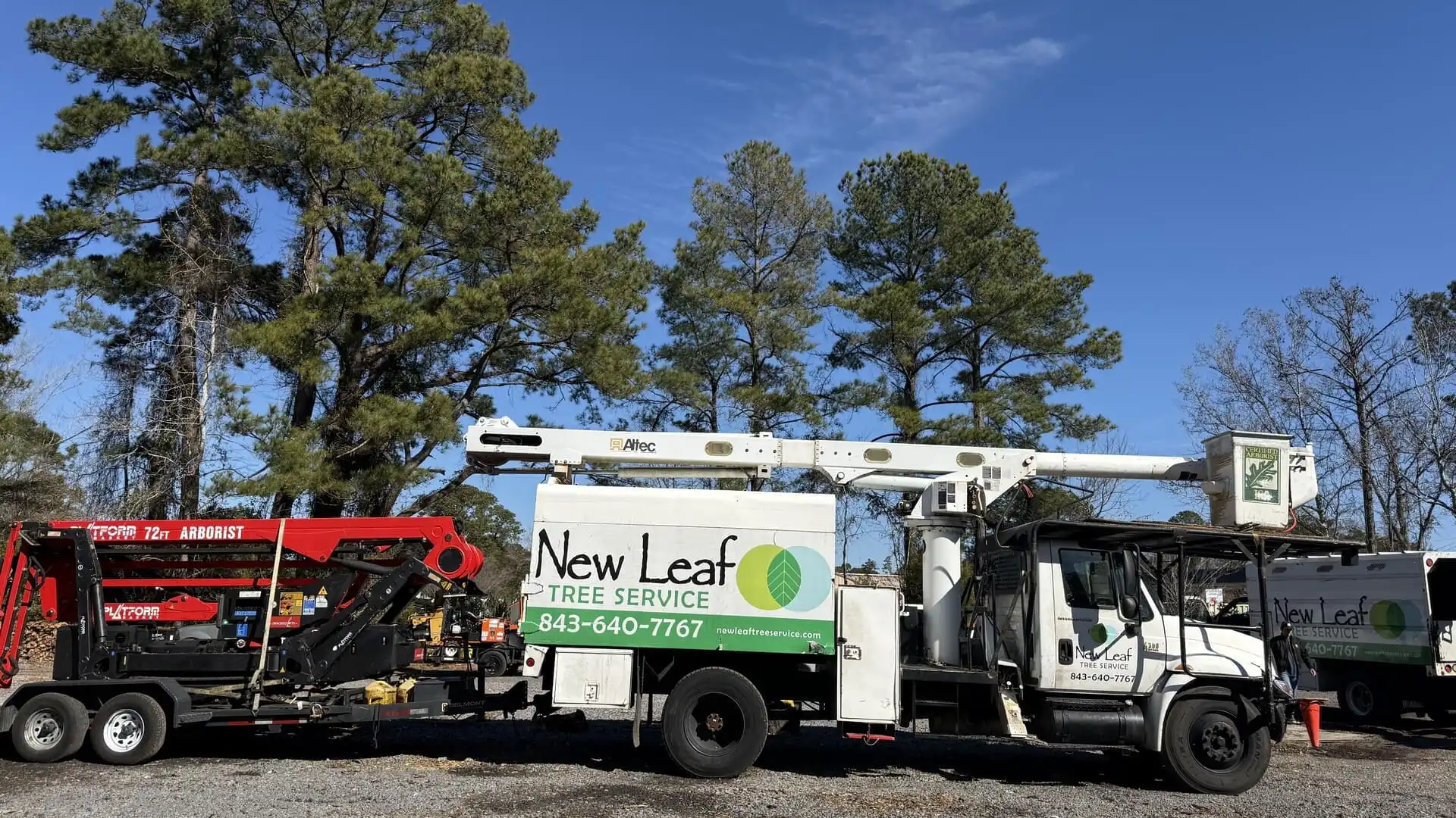 new leaf tree service llc 2025 09 29T14:15:52.158458Z 74139.44367803975 1